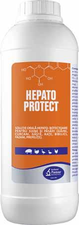 HEPATO PROTECT